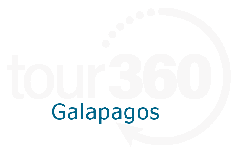 Tour360-LOGO blanco