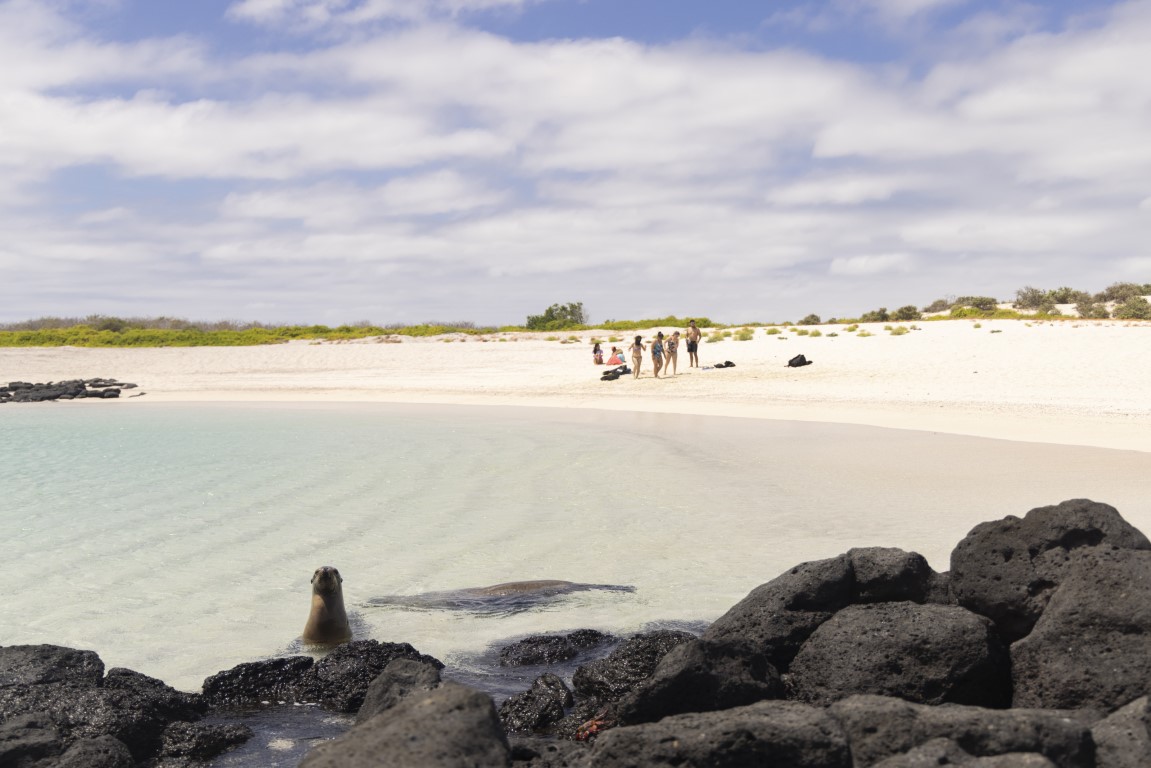 playa bahia sardina tour 360 galapagos 2023