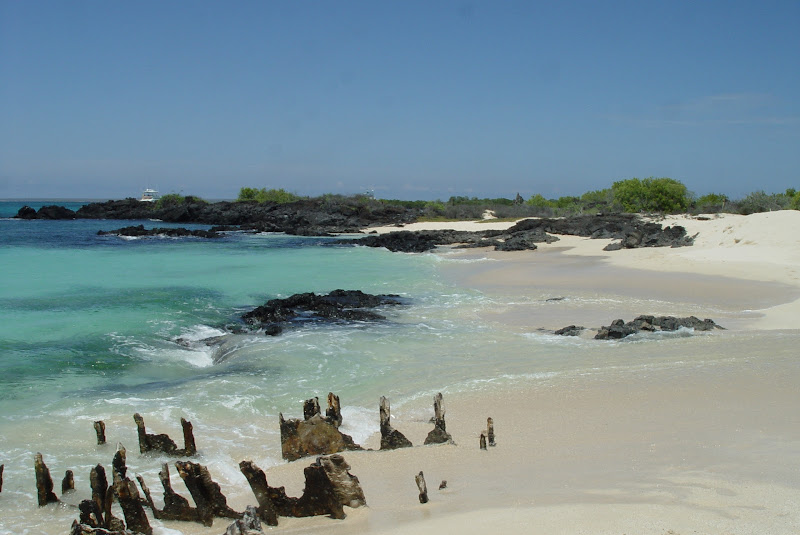 playa bachas en isla seymour-tour isla seymour norte